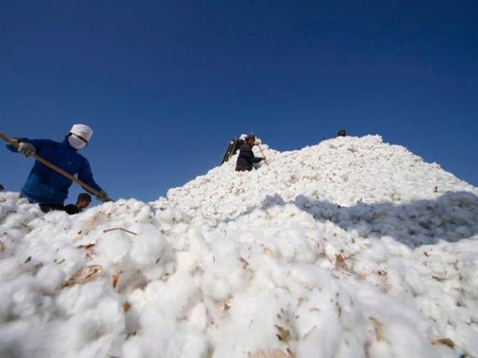 'Marketing' tired of paying Rs 700 crore | ‘पणन’ने थकवले ७०० कोटी रुपयांचे चुकारे 'Marketing' tired of paying Rs 700 crore | ‘पणन’ने थकवले ७०० कोटी रुपयांचे चुकारे