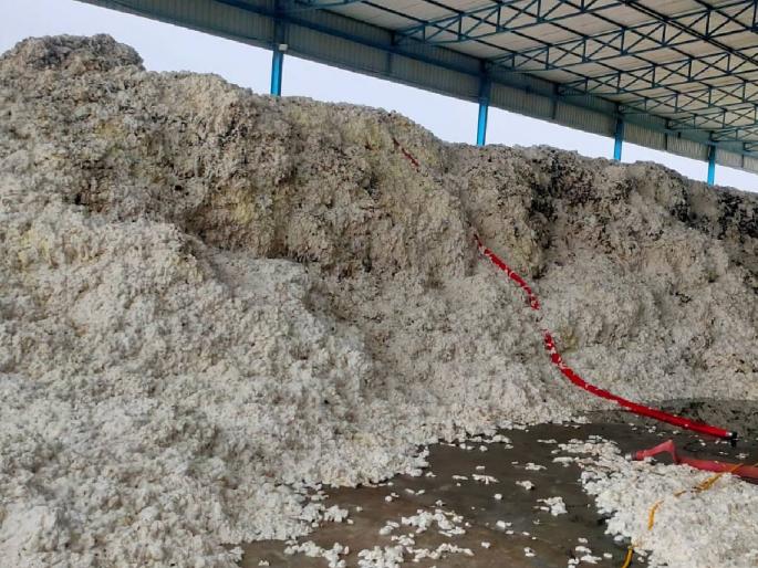 'Panan' allowed to purchase cotton Agreement with CCI soon; Demand for financial assistance | कापूस खरेदीस ‘पणन’ला परवानगी; लवकरच सीसीआयसोबत करार; आर्थिक मदतीची मागणी