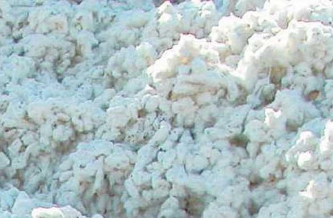 Rain showers; Difficulties in government cotton procurement | पावसाचे सावट; शासकीय कापूस खरेदीत अडचणी 