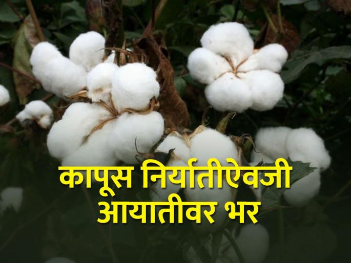 They used to say that bales are left and reduce the price of cotton | गाठी शिल्लक आहे सांगायचे अन् कापसाचे दर पाडायचे They used to say that bales are left and reduce the price of cotton | गाठी शिल्लक आहे सांगायचे अन् कापसाचे दर पाडायचे