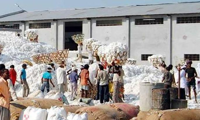 Billions tired of ginning owners marketing! | जिनिंग मालकांचे पणनकडे कोट्यावधी थकीत!