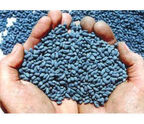 16 lakh bogus cotton seeds seized in Chandrapur | चंद्रपुरात १६ लाखांचे बोगस कापूस बियाणे जप्त