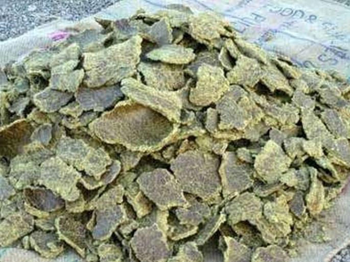 Cotton seed cake prices fell by Rs 500 a quintal | ढेपचे भाव क्विंटलमागे पाचशे रुपयांनी घसरले Cotton seed cake prices fell by Rs 500 a quintal | ढेपचे भाव क्विंटलमागे पाचशे रुपयांनी घसरले