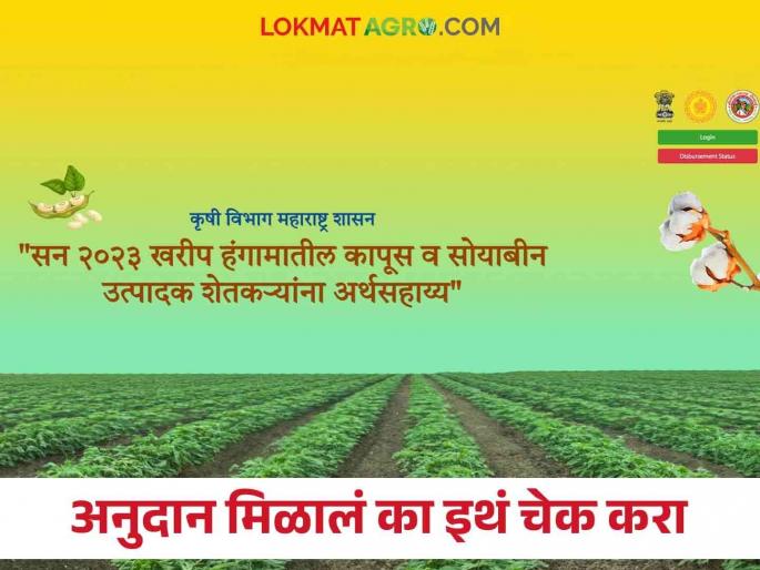Did you get 5000 thousand of cotton and soybean crops? Check online on your mobile | Cotton Subsidy : कापूस व सोयाबीन पिकांचे ०५ हजार मिळाले का? ऑनलाईन चेक करा तुमच्या मोबाईलवर Did you get 5000 thousand of cotton and soybean crops? Check online on your mobile | Cotton Subsidy : कापूस व सोयाबीन पिकांचे ०५ हजार मिळाले का? ऑनलाईन चेक करा तुमच्या मोबाईलवर