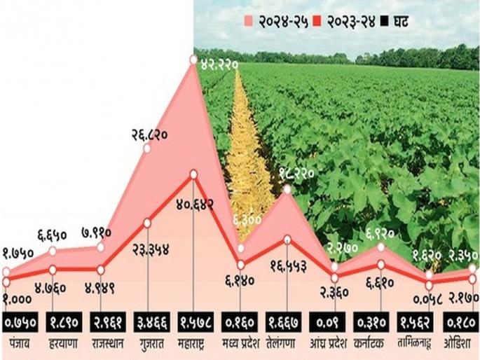 Cotton production will decrease; But the grain will increase | कापसाचे उत्पादन घटणार; भरडधान्याचे मात्र वाढणार