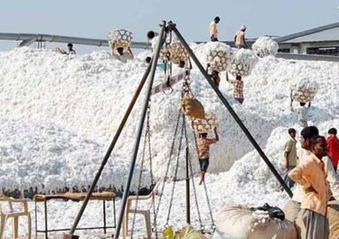 Decline in cotton production, price at Rs 6,000 | कापसाचे भाव सहा हजार रुपयांवर Decline in cotton production, price at Rs 6,000 | कापसाचे भाव सहा हजार रुपयांवर
