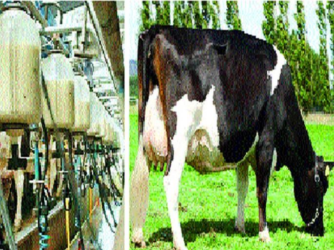 From the country of milk ... | दुधाच्या देशातून...