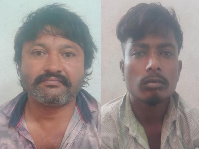 Those who came to sell Rudraksh stole a sandalwood tree in Kolhapur District Court area | रुद्राक्ष विक्रीसाठी आले अन् चंदन चोरले; कोल्हापूर जिल्हा न्यायालय परिसरात चोरी Those who came to sell Rudraksh stole a sandalwood tree in Kolhapur District Court area | रुद्राक्ष विक्रीसाठी आले अन् चंदन चोरले; कोल्हापूर जिल्हा न्यायालय परिसरात चोरी