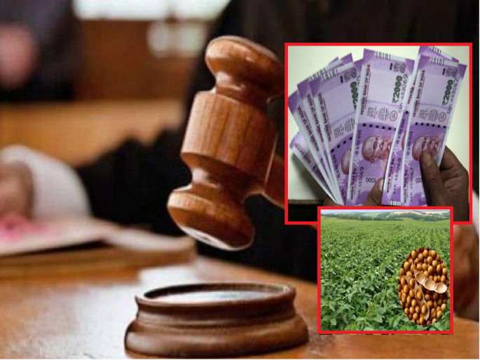 Pay the soybean insurance premium to the farmer; Order of Consumer Commission to Oriental Insurance | सोयाबीनचा विमा हप्ता शेतकऱ्याला द्या; ग्राहक आयोगाचे ओरिएंटल इन्शुरन्सला आदेश Pay the soybean insurance premium to the farmer; Order of Consumer Commission to Oriental Insurance | सोयाबीनचा विमा हप्ता शेतकऱ्याला द्या; ग्राहक आयोगाचे ओरिएंटल इन्शुरन्सला आदेश