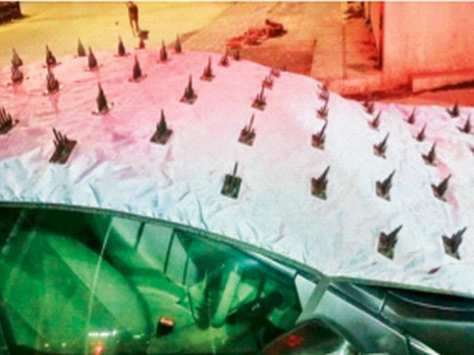 Cover the nails on loose dogs! There will be harm to animals, anger from animal lovers | मोकाट श्वानांवर उतारा खिळ्यांच्या कव्हरचा! प्राण्यांना होईल इजा, प्राणिप्रेमींमधून संताप