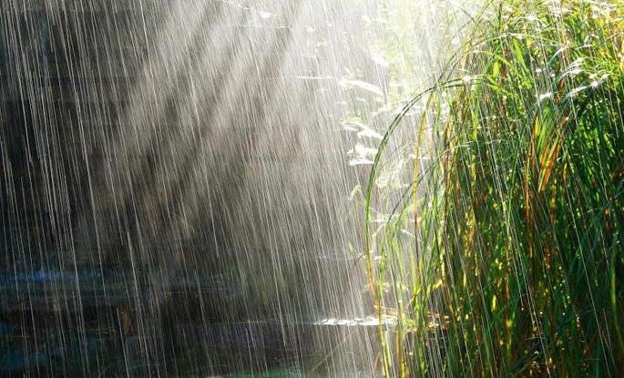 Jalgaon district has received 323 mm of rainfall so far | जळगाव जिल्ह्यात आतापर्यंत ३२३ मिलीमीटर पावसाची नोंद Jalgaon district has received 323 mm of rainfall so far | जळगाव जिल्ह्यात आतापर्यंत ३२३ मिलीमीटर पावसाची नोंद