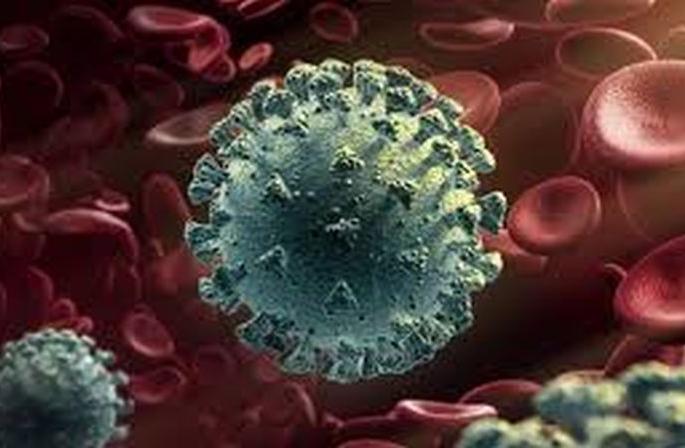 Danger of Covid's new strain in Akola! | अकोल्यात कोविडच्या नव्या स्ट्रेनचा धोका! Danger of Covid's new strain in Akola! | अकोल्यात कोविडच्या नव्या स्ट्रेनचा धोका!