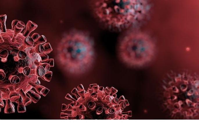 Good news! All patients in Wardha district are corona free | शुभवार्ता! वर्धा जिल्ह्यातील सर्व रुग्ण कोरोनामुक्त