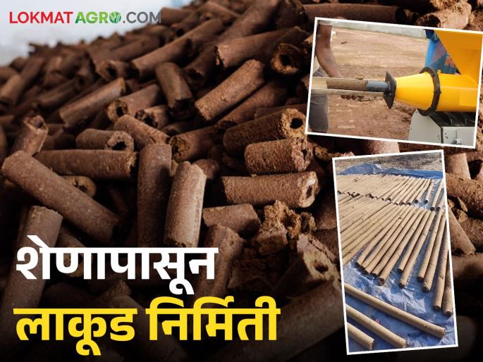 New opportunity for self employment in rural areas; Learn in detail about the wood production from cow dung | ग्रामीण भागात स्वयंरोजगाराची नवी संधी; शेणापासून लाकूड निर्मिती उद्योग, जाणून घ्या सविस्तर
