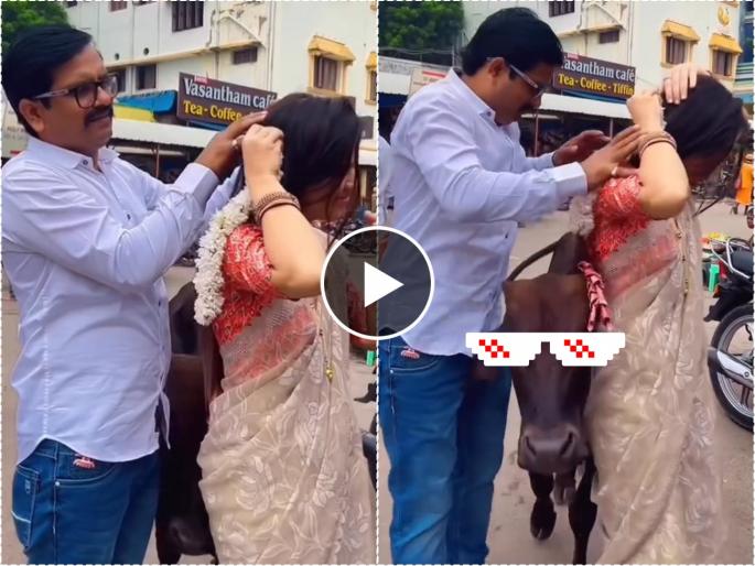 Viral Video : Cow comes in middle of man putting gajra on wife hairs watch video | मॅडमना जाऊ द्या! रस्त्यावर पत्नीच्या केसात गजरा माळत होता पती, तेव्हाच मधे आली गाय आणि... Viral Video : Cow comes in middle of man putting gajra on wife hairs watch video | मॅडमना जाऊ द्या! रस्त्यावर पत्नीच्या केसात गजरा माळत होता पती, तेव्हाच मधे आली गाय आणि...