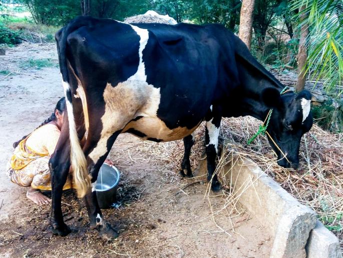 National Conference on Kisan Credit Card for Fisheries, Animal Husbandry and Dairy Development in Mumbai | मत्स्यव्यवसाय, पशुपालन आणि दुग्धविकासासाठी किसान क्रेडिट कार्ड या विषयावर मुंबईत राष्ट्रीय परिषद National Conference on Kisan Credit Card for Fisheries, Animal Husbandry and Dairy Development in Mumbai | मत्स्यव्यवसाय, पशुपालन आणि दुग्धविकासासाठी किसान क्रेडिट कार्ड या विषयावर मुंबईत राष्ट्रीय परिषद