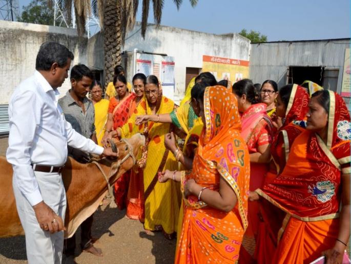 Go-mata Pujan in Varakhedi by Gayatri Parivar | गायत्री परिवारातर्फे वरखेडीत गो-माता पुजन Go-mata Pujan in Varakhedi by Gayatri Parivar | गायत्री परिवारातर्फे वरखेडीत गो-माता पुजन