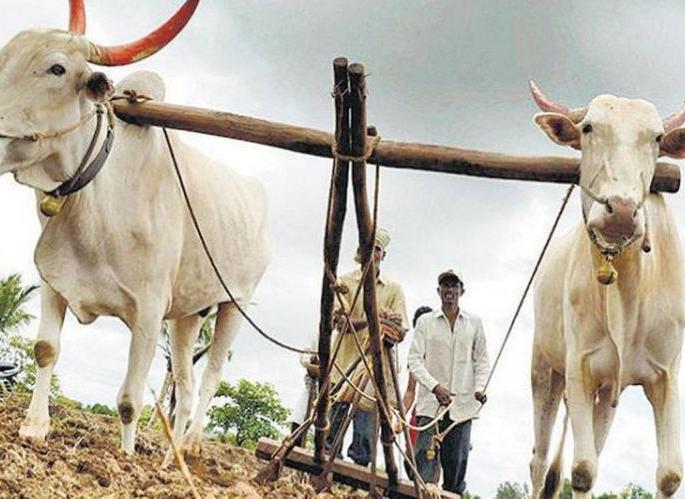 Now the concept of ‘Agro MSME’; Nitin Gadkari's e-communication with co-operative bank directors | आता ‘अॅग्रो एमएसएमई’ची संकल्पना; नितीन गडकरींचा सहकारी बँक संचालकांशी ई-संवाद Now the concept of ‘Agro MSME’; Nitin Gadkari's e-communication with co-operative bank directors | आता ‘अॅग्रो एमएसएमई’ची संकल्पना; नितीन गडकरींचा सहकारी बँक संचालकांशी ई-संवाद