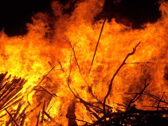 A fierce fire in the cowshed, bull dies and three animals injured | मध्यरात्री गोठ्याला भीषण आग; एका बैलाचा भाजून मृत्यू, मुरादपूर येथील घटना