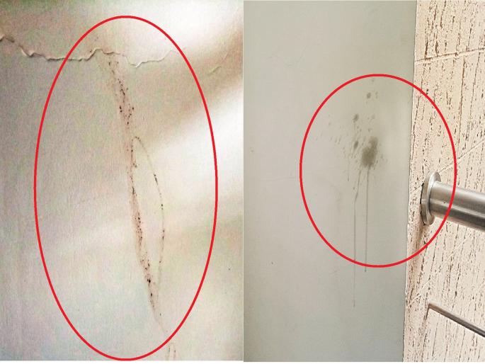 The gutkha patches in the new building of Police Commissioner of Aurangabad | खडा पहारा असलेल्या पोलीस आयुक्तालयाच्या नव्या इमारतीत गुटख्याच्या पिचकाऱ्या The gutkha patches in the new building of Police Commissioner of Aurangabad | खडा पहारा असलेल्या पोलीस आयुक्तालयाच्या नव्या इमारतीत गुटख्याच्या पिचकाऱ्या