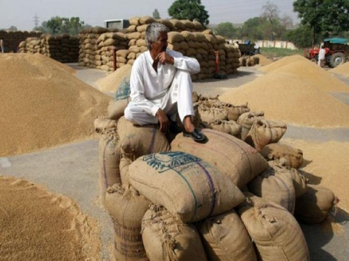 No bonuses, no refunds; Even after two months there is no GR, farmers are worried | ना बोनस, ना चुकारे, केवळ आश्वासनाचे पोवाडे; शेतकऱ्यांची वाढली चिंता No bonuses, no refunds; Even after two months there is no GR, farmers are worried | ना बोनस, ना चुकारे, केवळ आश्वासनाचे पोवाडे; शेतकऱ्यांची वाढली चिंता