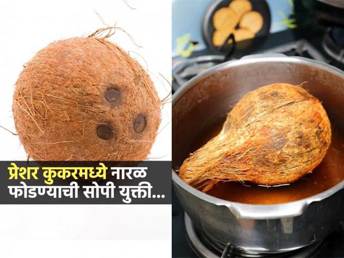 crack coconut with pressure cooker pressure cooker coconut cracking trick easy coconut cracking method | कुकरमध्ये नारळ ठेवून फक्त ३ शिट्ट्या काढा! नारळ फोडायची मेहनतच विसरा, एका मिनिटांत खोबरं हातात... crack coconut with pressure cooker pressure cooker coconut cracking trick easy coconut cracking method | कुकरमध्ये नारळ ठेवून फक्त ३ शिट्ट्या काढा! नारळ फोडायची मेहनतच विसरा, एका मिनिटांत खोबरं हातात...