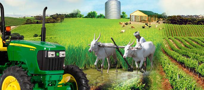 Credit on the working capital for the agriculture profession | कृषीपुरक व्यवसायासाठीही आता खेळत्या भांडवलावर पतपुरवठा Credit on the working capital for the agriculture profession | कृषीपुरक व्यवसायासाठीही आता खेळत्या भांडवलावर पतपुरवठा