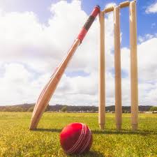 Jalgaon XI team winner in state level cricket tournament | राज्यस्तरीय क्रिकेट स्पर्धेत जळगाव इलेव्हन संघ विजेता