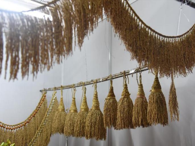 Art innovation in the new festival of festivals in Goa | गोव्यातील लोकोत्सवात नव्या रूपात कलाविष्कार Art innovation in the new festival of festivals in Goa | गोव्यातील लोकोत्सवात नव्या रूपात कलाविष्कार