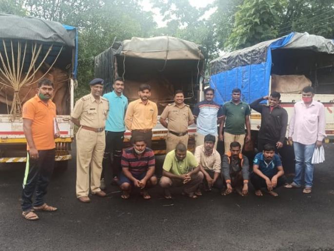 Three carts carrying animals caught at Golwali | गोळवली येथे पकडल्या जनावरे घेऊन जाणाऱ्या तीन गाड्या Three carts carrying animals caught at Golwali | गोळवली येथे पकडल्या जनावरे घेऊन जाणाऱ्या तीन गाड्या