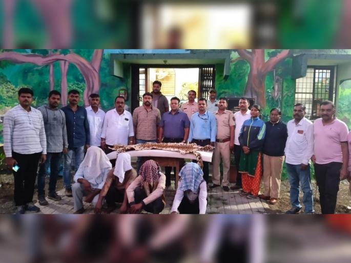 Leopard skin smuggling racket busted near Trimbakeshwar Nashik | बिबट्याच्या कातडीच्या तस्करीचा केला पर्दाफाश; नाशिकजवळ घडला प्रकार Leopard skin smuggling racket busted near Trimbakeshwar Nashik | बिबट्याच्या कातडीच्या तस्करीचा केला पर्दाफाश; नाशिकजवळ घडला प्रकार