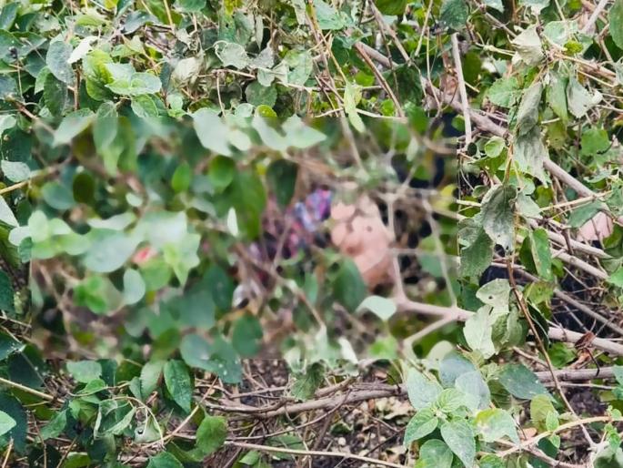 dead body of a married woman was found in Khambatki Ghat, sparks the discussion of murder or accident | खंबाटकी घाटात विवाहितेचा मृतदेह आढळून आल्याने खळबळ, घात की अपघात चर्चेला उधाण dead body of a married woman was found in Khambatki Ghat, sparks the discussion of murder or accident | खंबाटकी घाटात विवाहितेचा मृतदेह आढळून आल्याने खळबळ, घात की अपघात चर्चेला उधाण