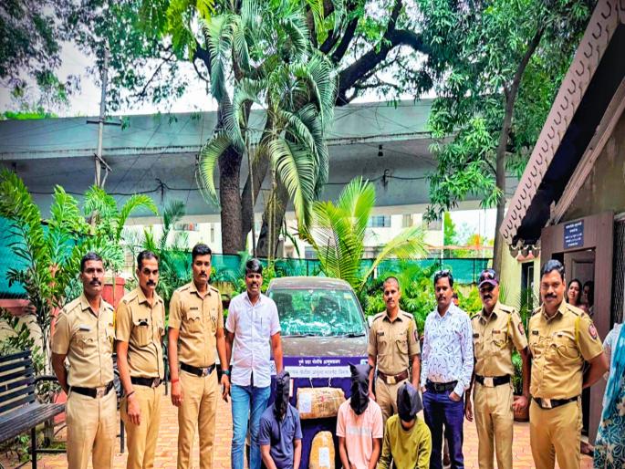 pune crime drug smuggling 6 kg of marijuana, worth 1.6 million seized | पुण्यात अमलीपदार्थांची तस्करी; ६ किलो गांजासह १६ लाखांचा माल केला हस्तगत