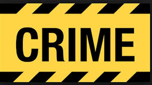 A gang of animal thieves is active in the area | जनावरे चोरांची टोळी वाडीवºहे परिसरात सक्रि य A gang of animal thieves is active in the area | जनावरे चोरांची टोळी वाडीवºहे परिसरात सक्रि य