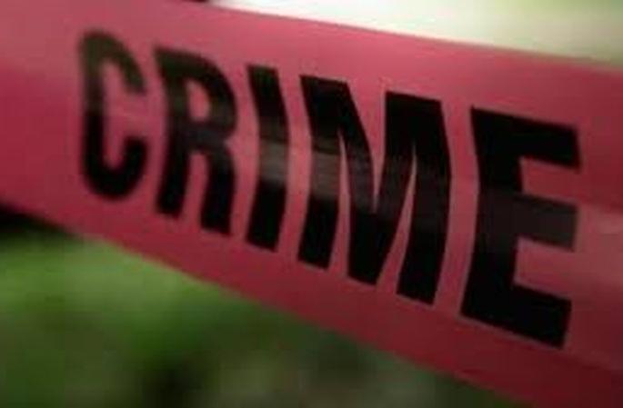 Wife strangled to death; Accused arested | पत्नीची गळा आवळून हत्या ; आरोपी गजाआड