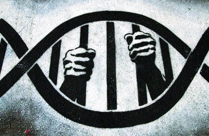 Criminal in Nagpur arrested | सर जो उठेगा धड से कटेगा... Criminal in Nagpur arrested | सर जो उठेगा धड से कटेगा...