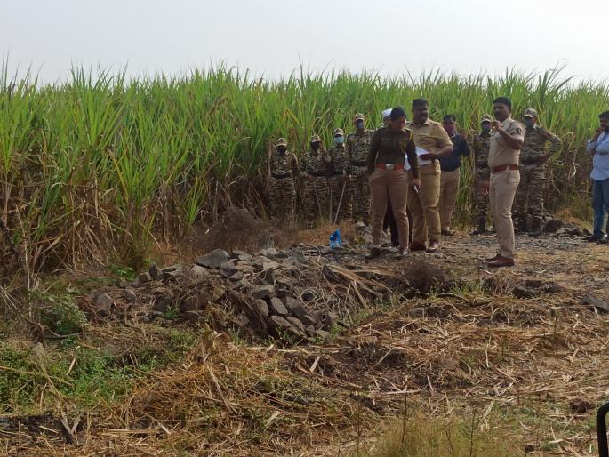 Half-dead woman body found in sugarcane field in Satara; Victim of superstition? | साताऱ्यात ऊसाच्या शेतात अर्धवट अवस्थेतील महिलेचा मृतदेह सापडला; अंधश्रद्धेचा बळी? Half-dead woman body found in sugarcane field in Satara; Victim of superstition? | साताऱ्यात ऊसाच्या शेतात अर्धवट अवस्थेतील महिलेचा मृतदेह सापडला; अंधश्रद्धेचा बळी?