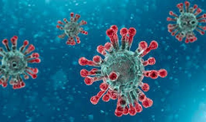 CoronaVirus: 21 more positive in Buldana district | CoronaVirus : बुलडाणा जिल्ह्यात आणखी २१ पॉझिटीव्ह