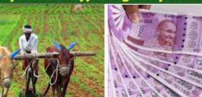 Rabbi is shown for kharif crop loan! | खरिपाच्या पीक कर्जासाठी दाखवली जाते रब्बीची वाट! Rabbi is shown for kharif crop loan! | खरिपाच्या पीक कर्जासाठी दाखवली जाते रब्बीची वाट!