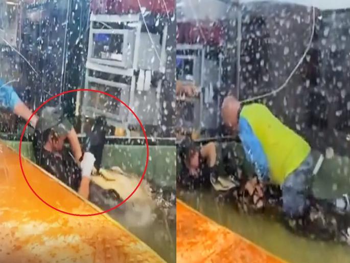 crocodile attacked on care taker women; Watch the shocking video | अचानक मगरीने केला हल्ला; हात शरीरापासून वेगळा करणार...पाहा थरकाप उडवणारा व्हिडिओ crocodile attacked on care taker women; Watch the shocking video | अचानक मगरीने केला हल्ला; हात शरीरापासून वेगळा करणार...पाहा थरकाप उडवणारा व्हिडिओ