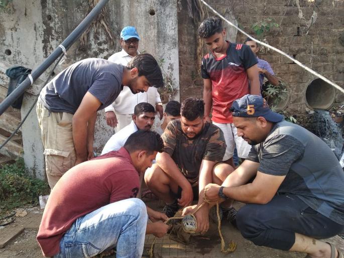 crocodiles in savitri river mahad | मगरींच्या मृत्यूचे कारण शोधण्यासाठी 'सिस्केप' सरसावले