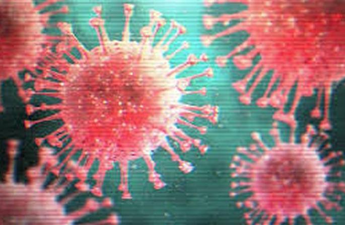 Corona suspected patient investigating physician and laboratory technician to Akola | कोरोना संदिग्ध रुग्णाची तपासणी करणारा डॉक्टर, प्रयोगशाळा तंत्रज्ञाला अकोल्याला हलविले! Corona suspected patient investigating physician and laboratory technician to Akola | कोरोना संदिग्ध रुग्णाची तपासणी करणारा डॉक्टर, प्रयोगशाळा तंत्रज्ञाला अकोल्याला हलविले!