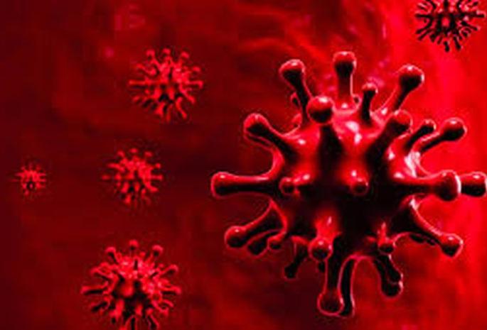 Nine more patients were raised; Total affected 1082 | CoronaVirus in Akola : आणखी नऊ रुग्ण वाढले; एकूण बाधित १०८२ Nine more patients were raised; Total affected 1082 | CoronaVirus in Akola : आणखी नऊ रुग्ण वाढले; एकूण बाधित १०८२