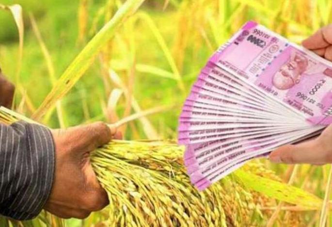 Crop loans distributed to 81,000 farmers in Akola district! | अकोला जिल्ह्यात ८१ हजार शेतकऱ्यांना पीक कर्जाचे वाटप! Crop loans distributed to 81,000 farmers in Akola district! | अकोला जिल्ह्यात ८१ हजार शेतकऱ्यांना पीक कर्जाचे वाटप!