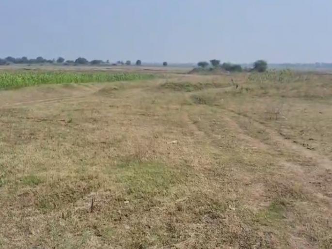 Jalna District Final Revised Pay Range 47.06 paise; Drought measures will be speeded up | जालना जिल्ह्याची अंतिम सुधारित पैसेवारी ४७.०६ पैसे; दुष्काळी उपाययोजनांस वेग येणार Jalna District Final Revised Pay Range 47.06 paise; Drought measures will be speeded up | जालना जिल्ह्याची अंतिम सुधारित पैसेवारी ४७.०६ पैसे; दुष्काळी उपाययोजनांस वेग येणार