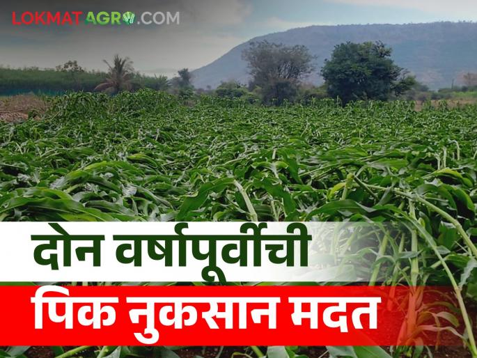 During the period 2020 to 2022, aid has been announced for the loss of agricultural crops due to natural calamities | २०२० ते २०२२ या कालावधीत नैसर्गिक आपत्तीमुळे झालेल्या शेतीपिकांच्या नुकसानाकरिता मदत जाहीर During the period 2020 to 2022, aid has been announced for the loss of agricultural crops due to natural calamities | २०२० ते २०२२ या कालावधीत नैसर्गिक आपत्तीमुळे झालेल्या शेतीपिकांच्या नुकसानाकरिता मदत जाहीर