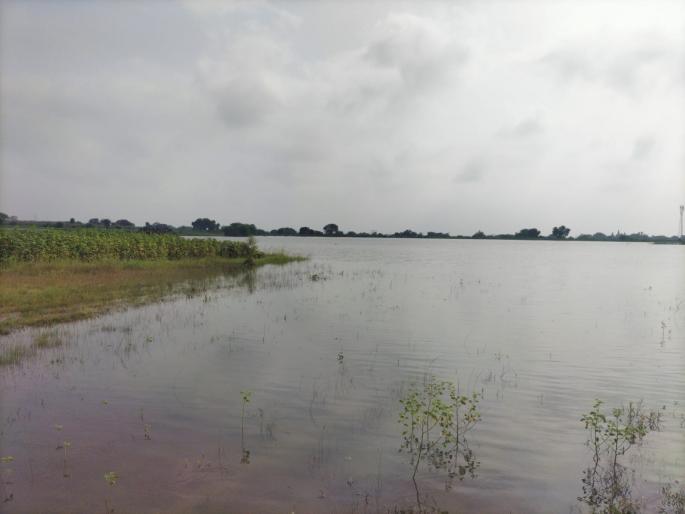 32 lakh hectares of agriculture in Marathwada under water; Compensation stuck in bank's KYC | मराठवाड्यातील ३२ लाख हेक्टर शेती पाण्यात; नुकसानभरपाई अडकली बँकेच्या केवायसीमध्ये 32 lakh hectares of agriculture in Marathwada under water; Compensation stuck in bank's KYC | मराठवाड्यातील ३२ लाख हेक्टर शेती पाण्यात; नुकसानभरपाई अडकली बँकेच्या केवायसीमध्ये