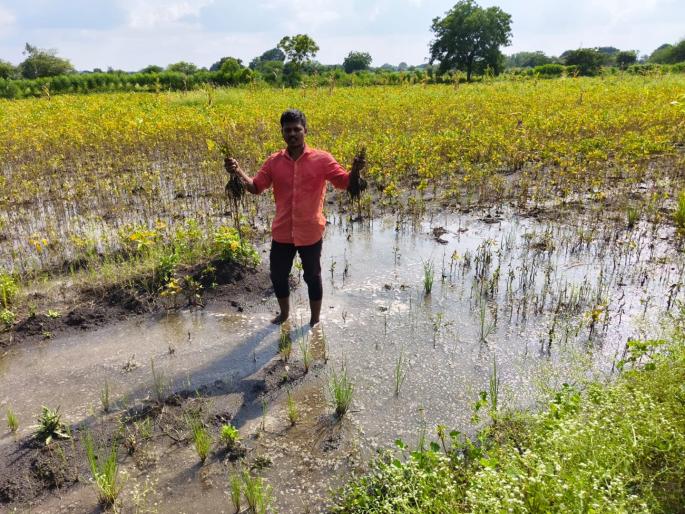 Dharashiv Rain: Heavy rains are not what they used to be! What to eat now and how to teach children? | Dharashiv Rain: अतिवृष्टीने होत्याचं नव्हतं झालं! आता काय खाऊ आणि मुलांना कसं शिकवू?
