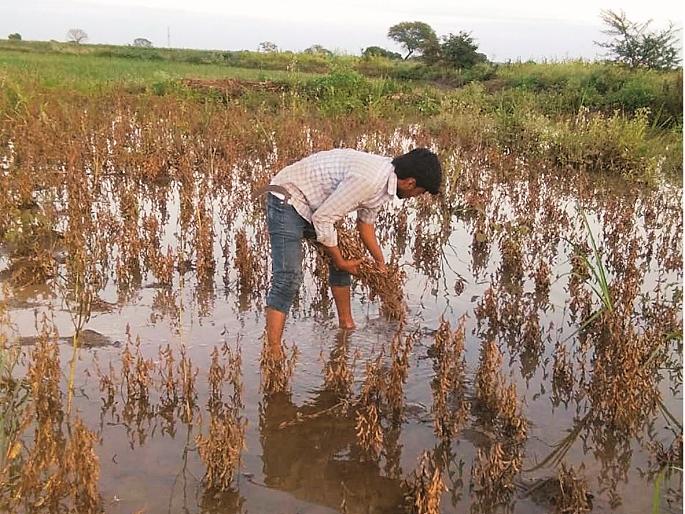 Within ten days all was over; Again a new struggle for farmer | अवघ्या दहा दिवसांत सारे संपले; उरला पुन्हा एक नवा संघर्ष Within ten days all was over; Again a new struggle for farmer | अवघ्या दहा दिवसांत सारे संपले; उरला पुन्हा एक नवा संघर्ष