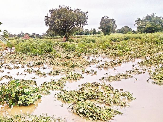 Marathwada to get Rs 3,700 crores relief package; Most assistance to Beed district | मराठवाड्याला मिळणार ३७०० कोटी; बीड जिल्ह्याला सर्वाधिक मदत Marathwada to get Rs 3,700 crores relief package; Most assistance to Beed district | मराठवाड्याला मिळणार ३७०० कोटी; बीड जिल्ह्याला सर्वाधिक मदत